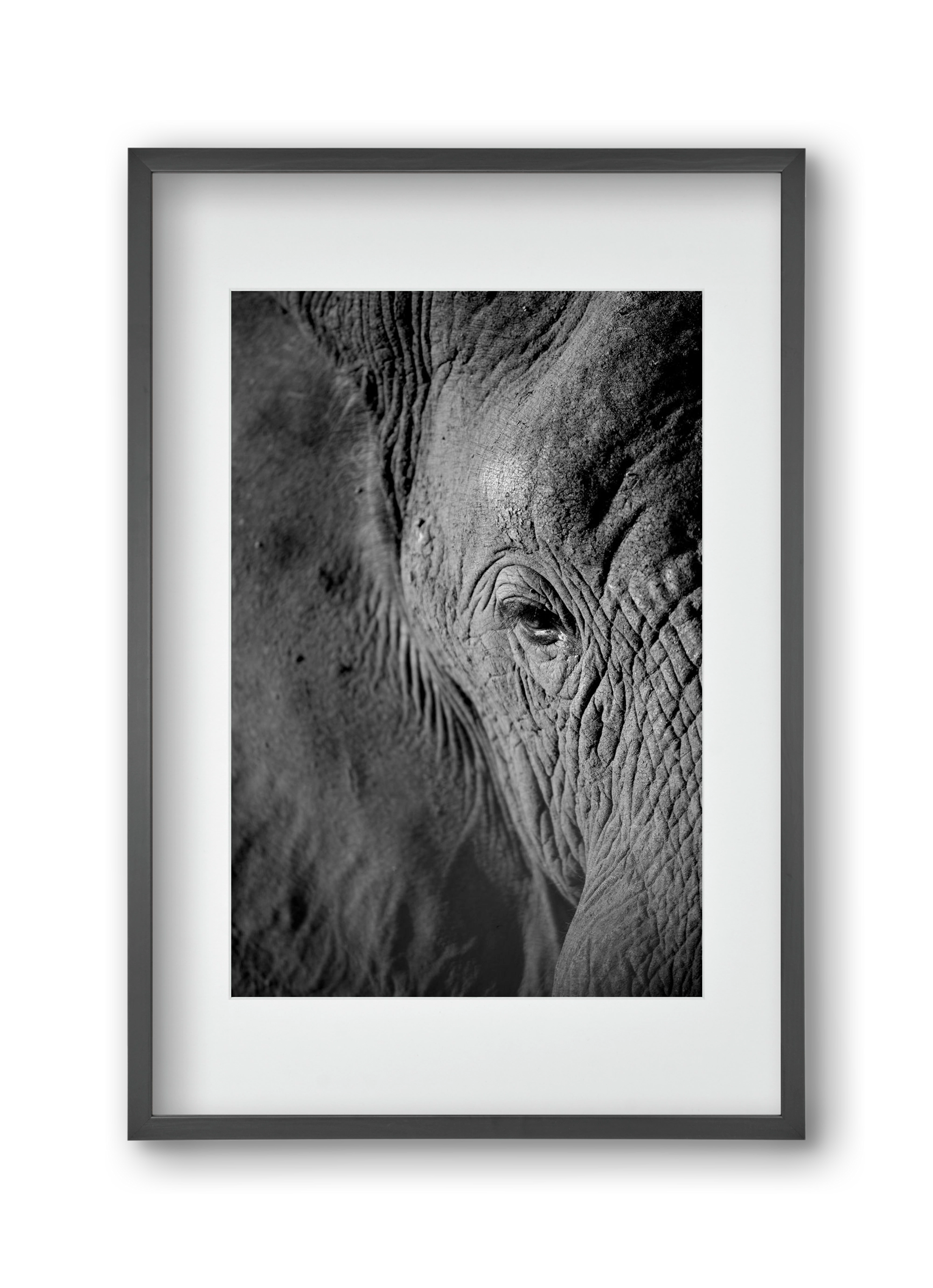 african dream, 30x45 cm (20x30 cm), Fekete keret, paszpartuval