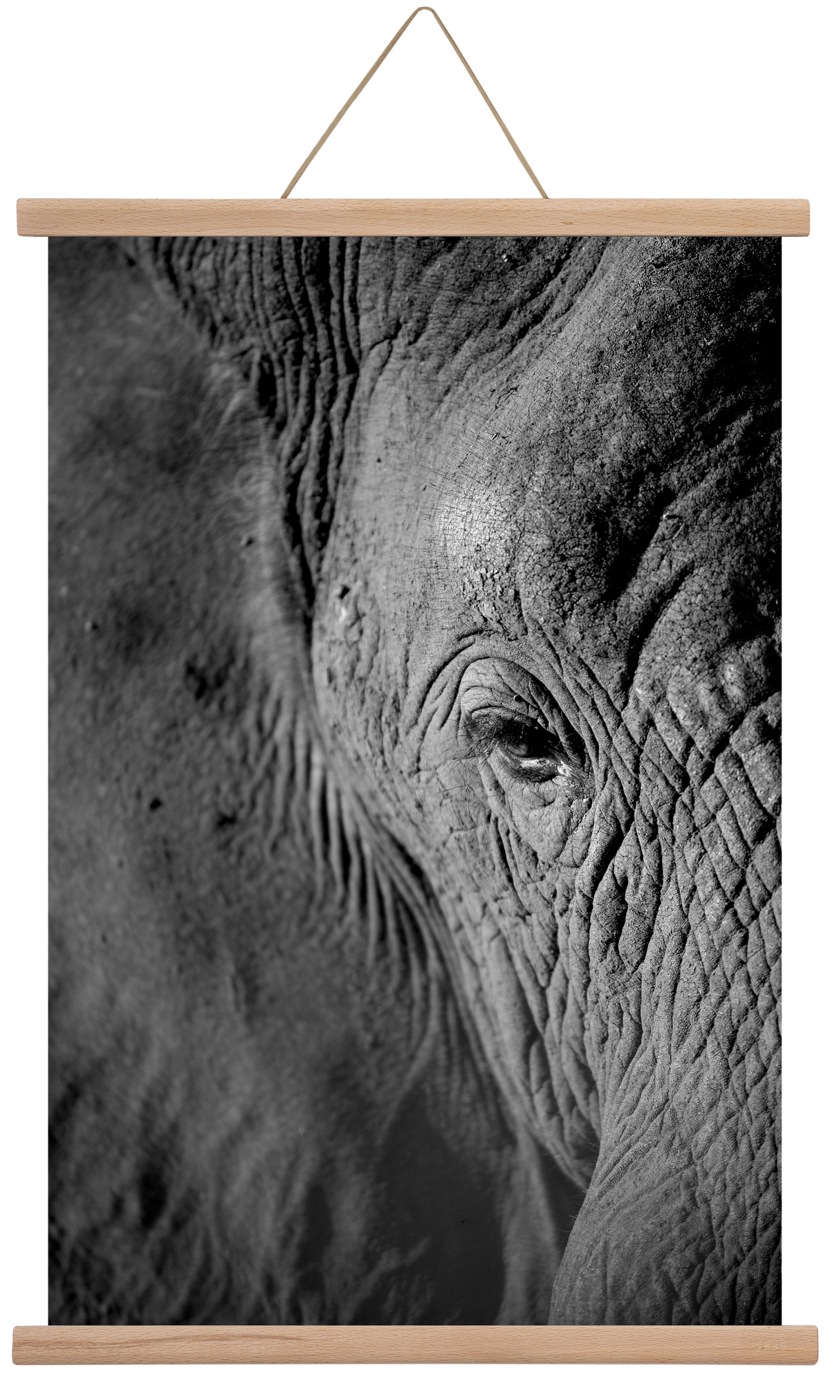 african dream, 40x60 cm (40x60 cm), Tölgy akasztó