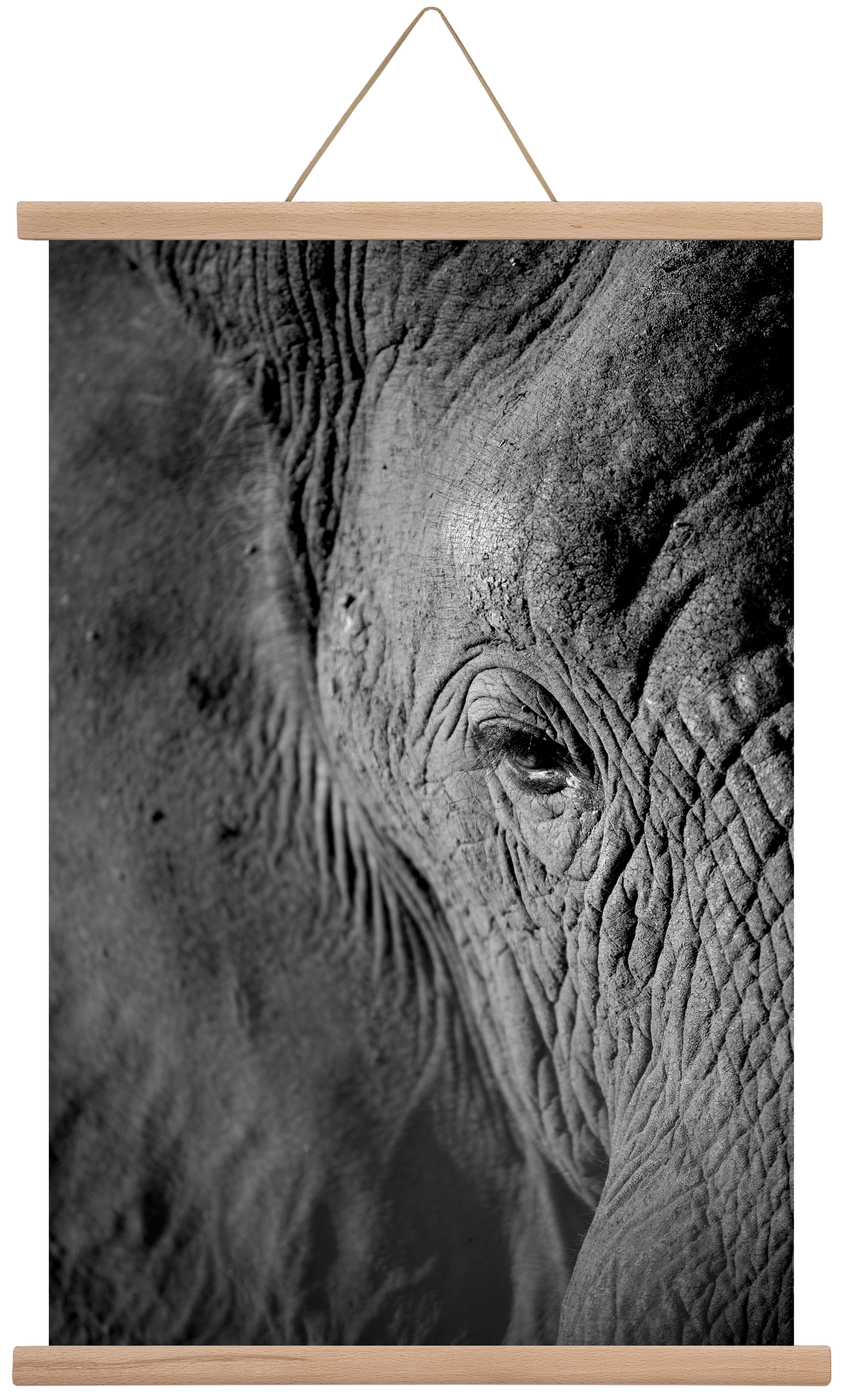 african dream, 40x60 cm (40x60 cm), Tölgy akasztó