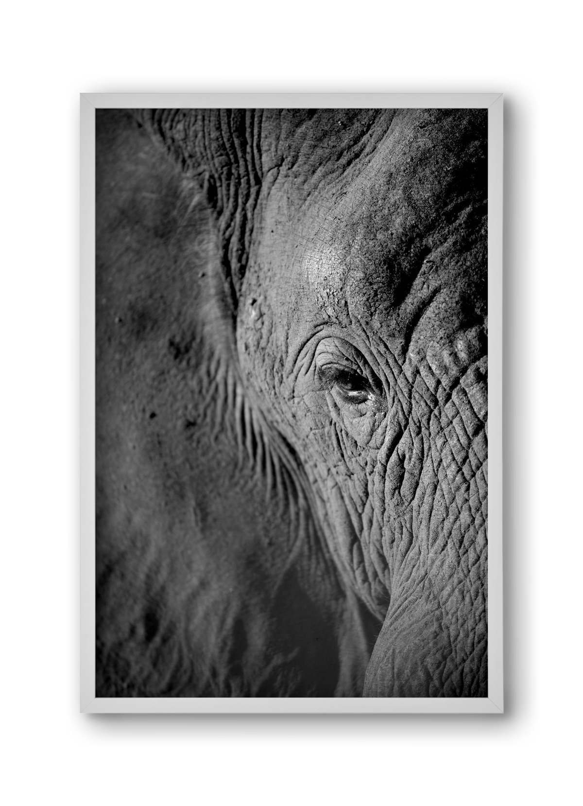 african dream, 30x45 cm (30x45 cm), Fehér keret