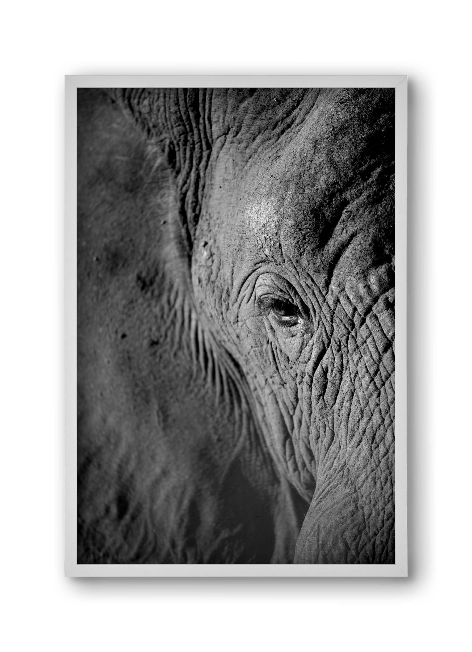 african dream, 30x45 cm (30x45 cm), Fehér keret