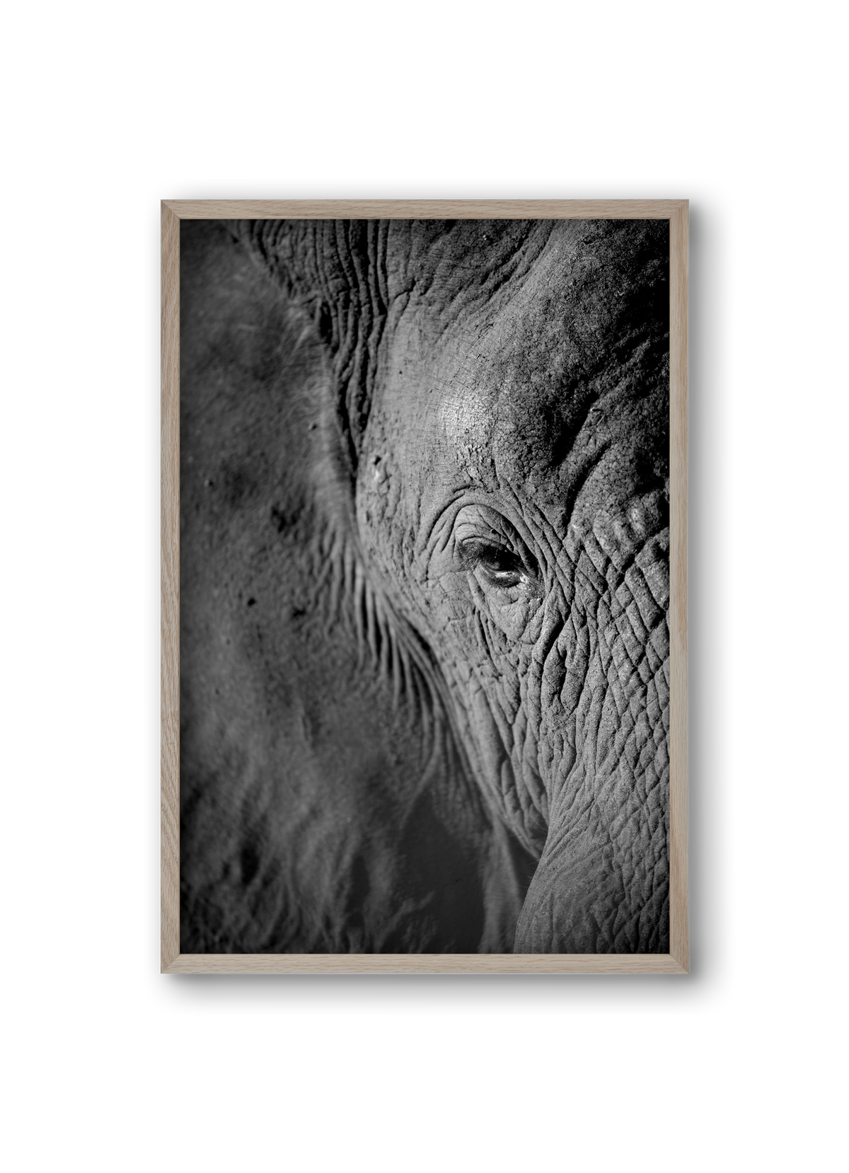 african dream, 20x30 cm (20x30 cm), Tölgy keret