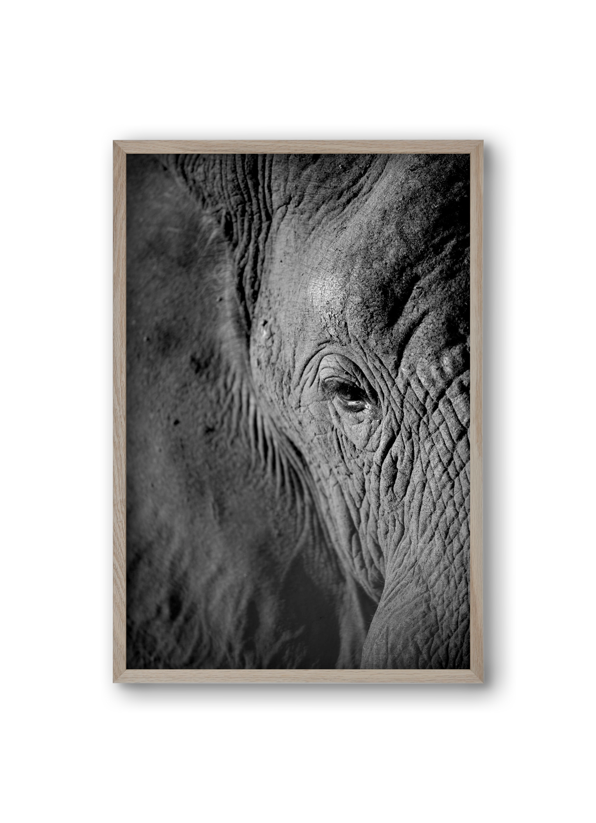 african dream, 20x30 cm (20x30 cm), Tölgy keret