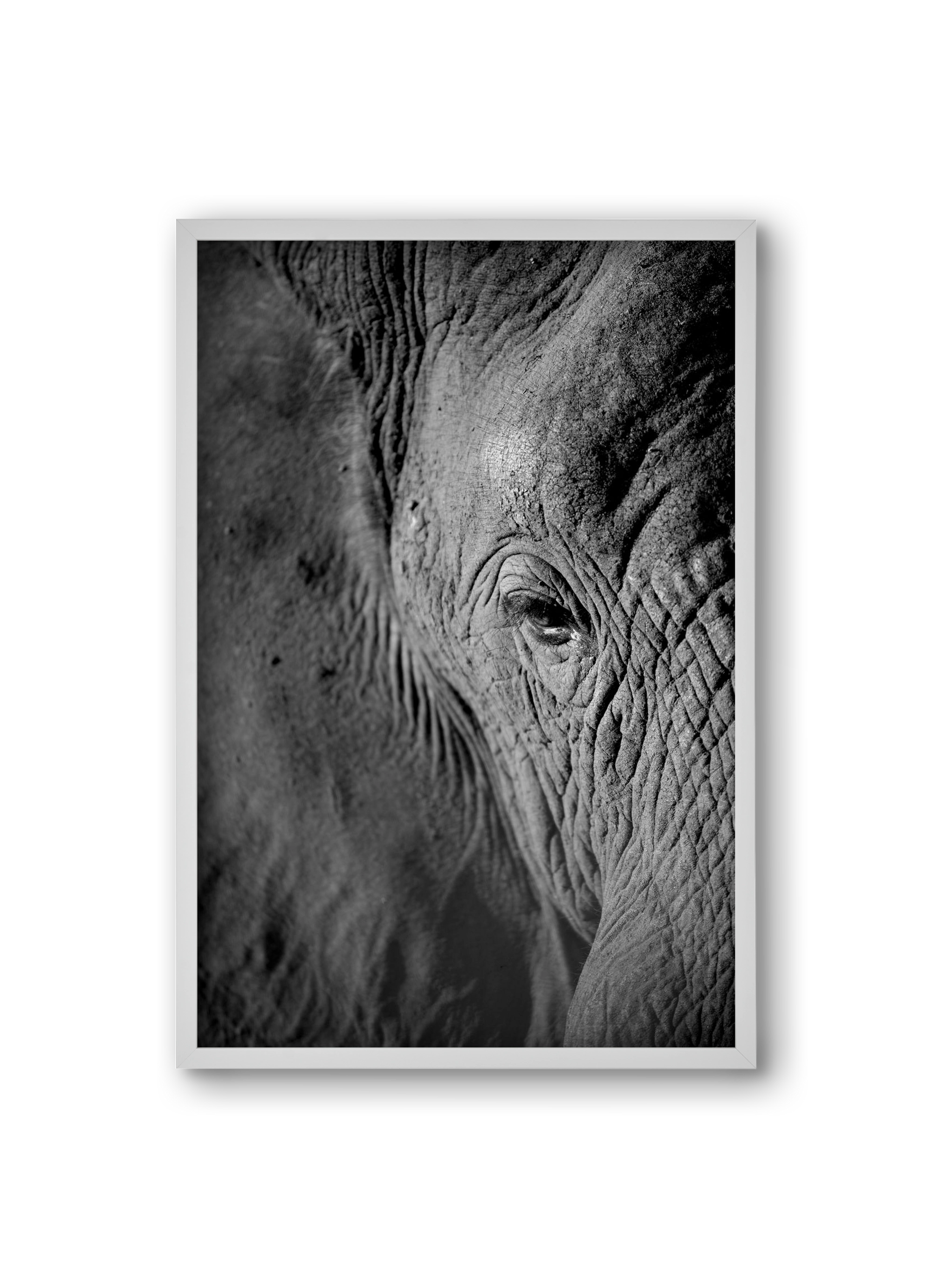 african dream, 20x30 cm (20x30 cm), Fehér keret