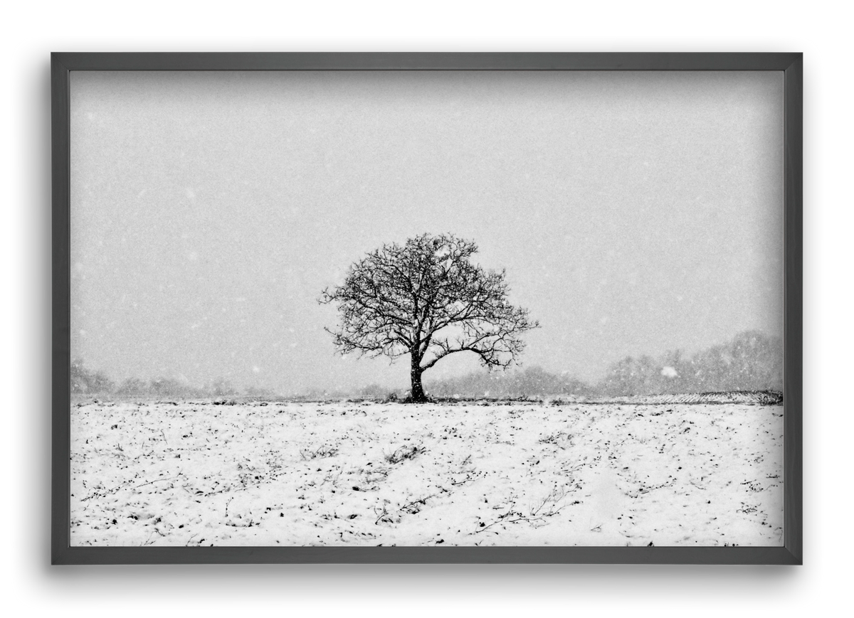 FILIA, 60x40 cm (60x40 cm), Fekete keret