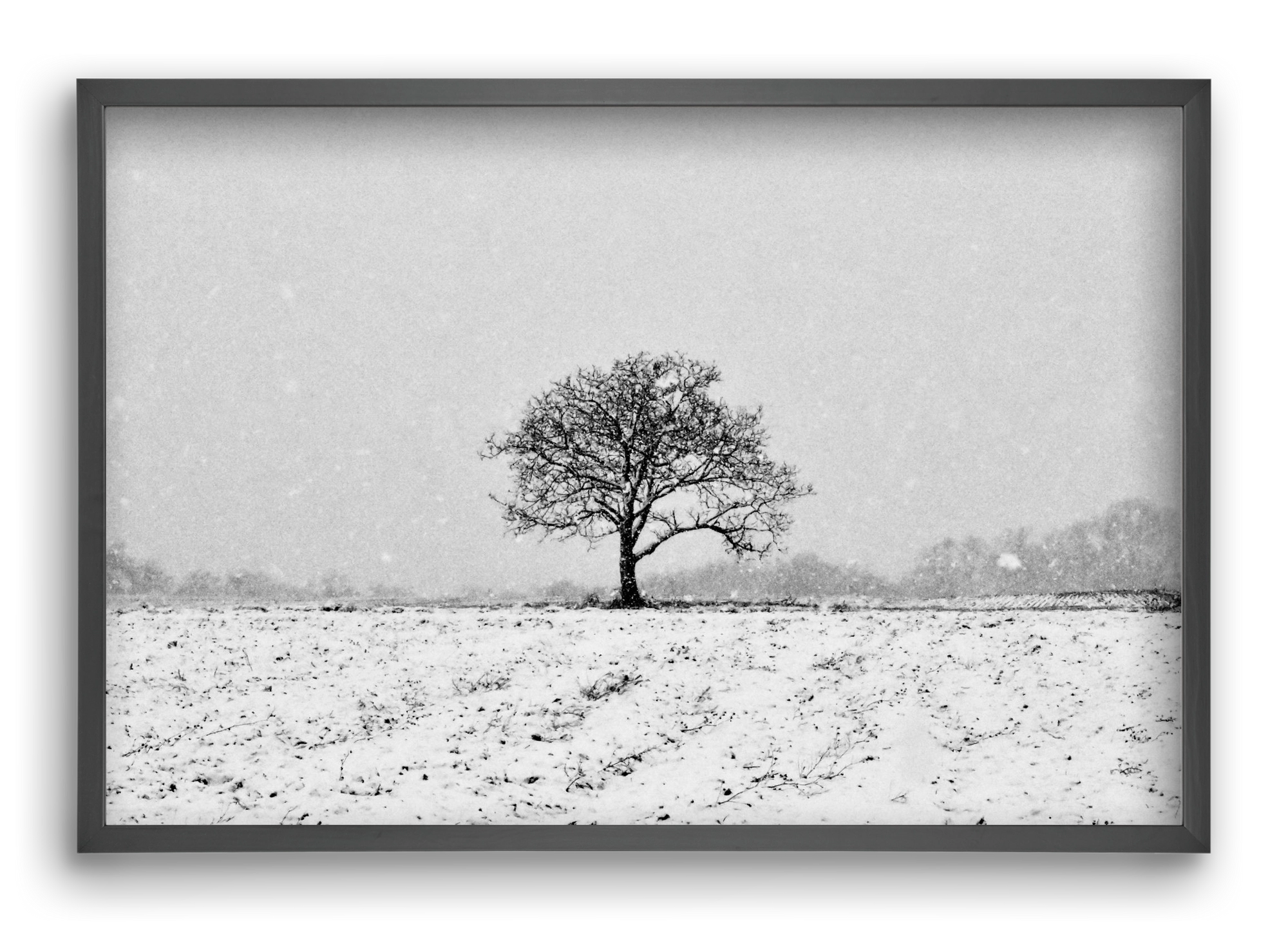 FILIA, 60x40 cm (60x40 cm), Fekete keret