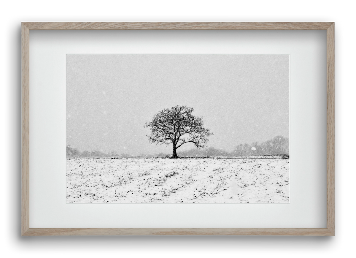 FILIA, 60x40 cm (45x30 cm), Tölgy keret, paszpartuval