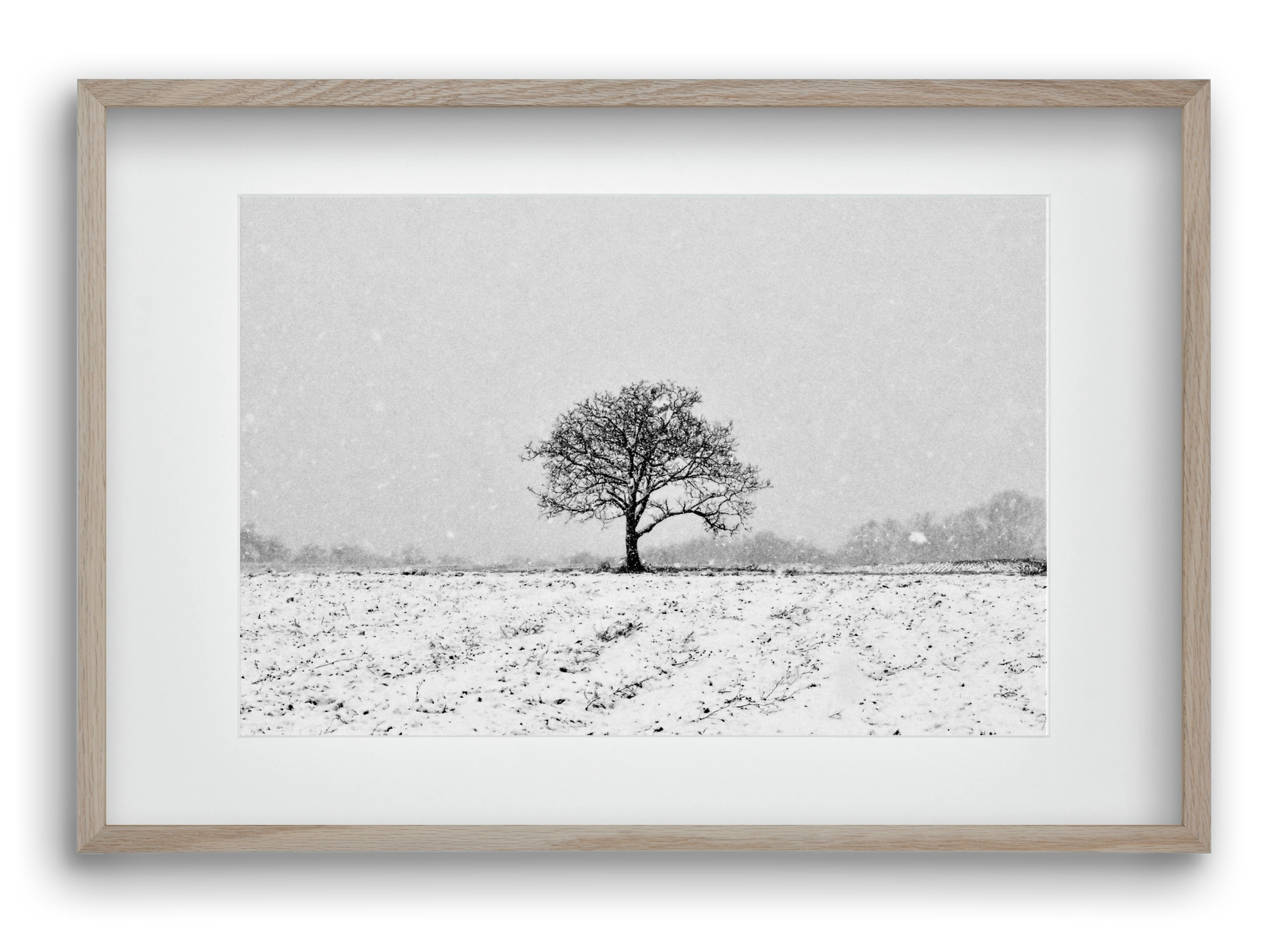 FILIA, 60x40 cm (45x30 cm), Tölgy keret, paszpartuval