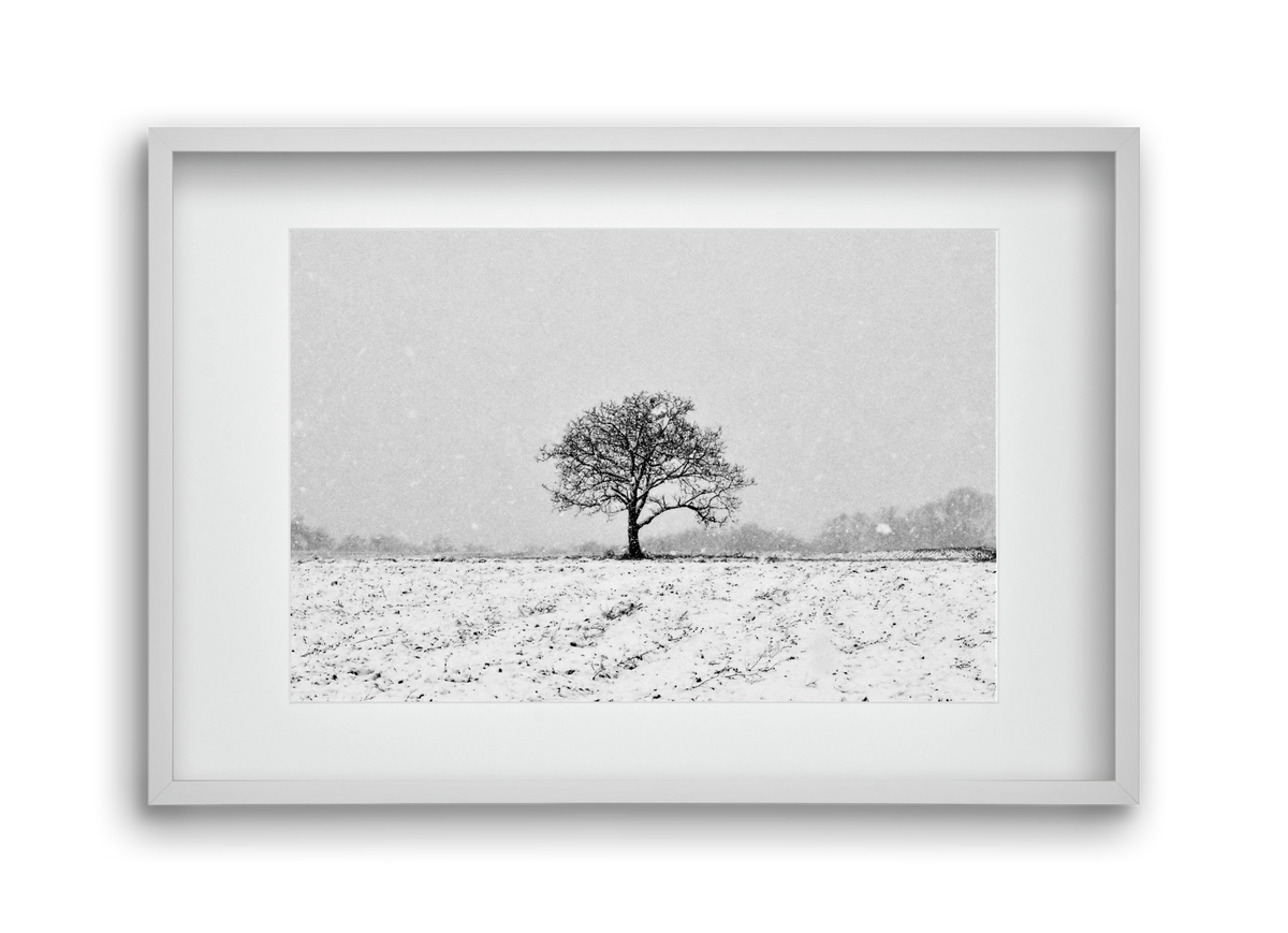 FILIA, 45x30 cm (30x20 cm), Fehér keret, paszpartuval