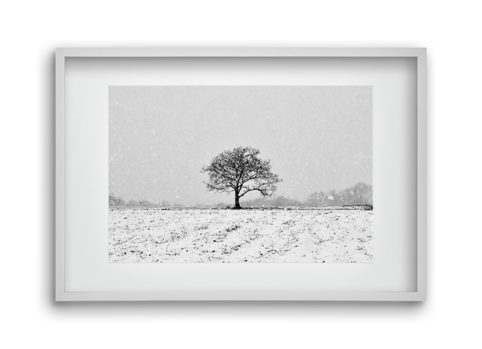 FILIA, 45x30 cm (30x20 cm), Fehér keret, paszpartuval