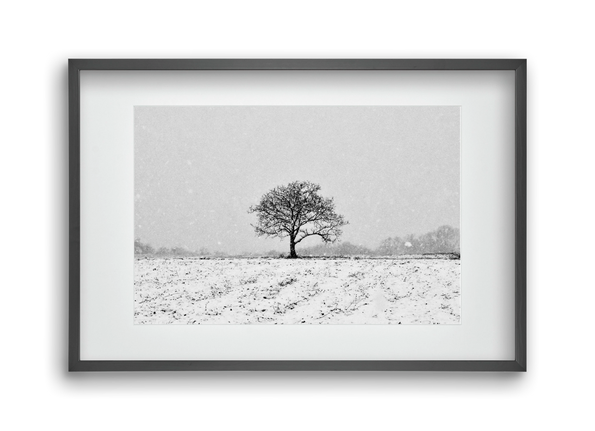 FILIA, 45x30 cm (30x20 cm), Fekete keret, paszpartuval