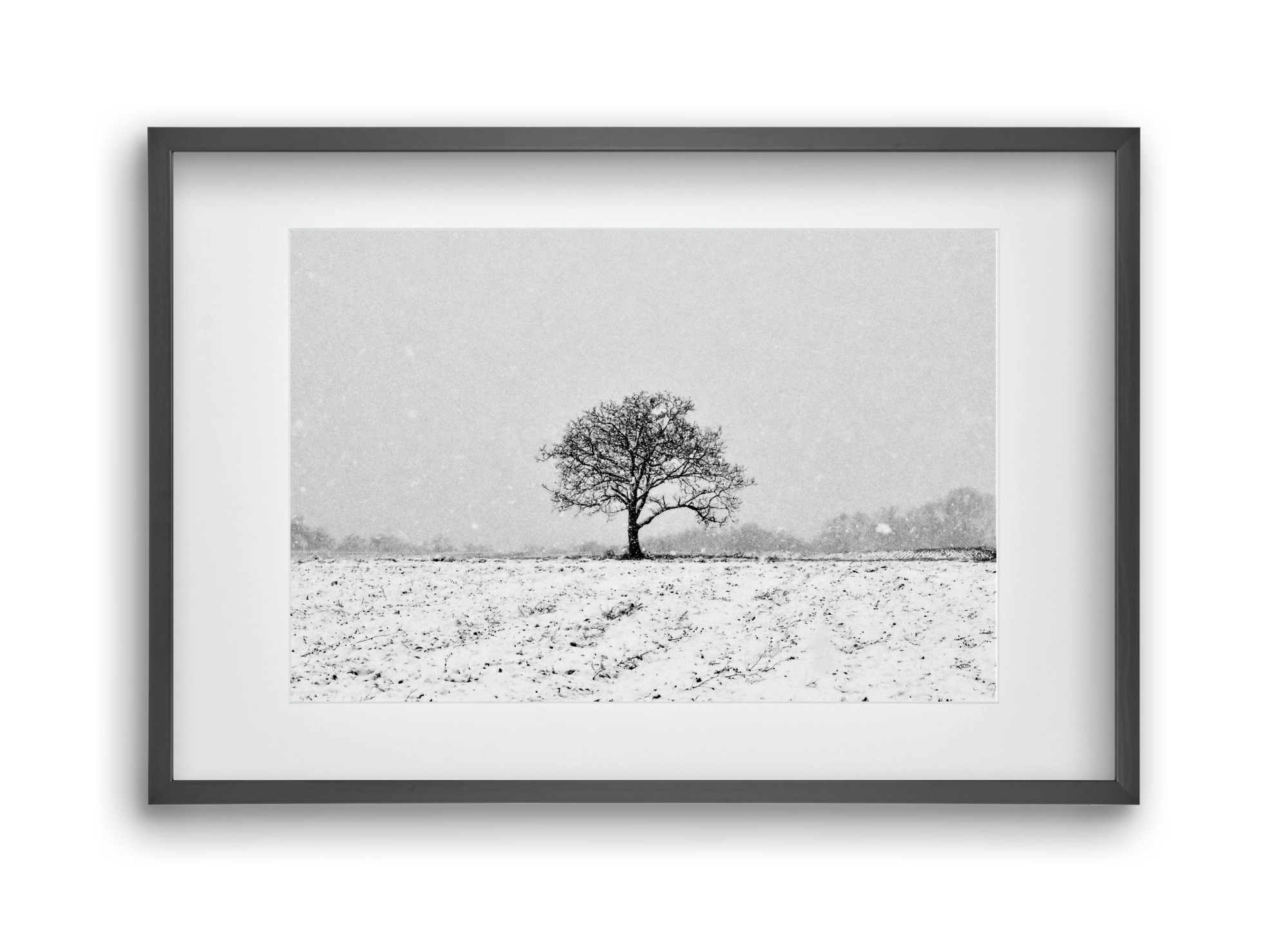 FILIA, 45x30 cm (30x20 cm), Fekete keret, paszpartuval