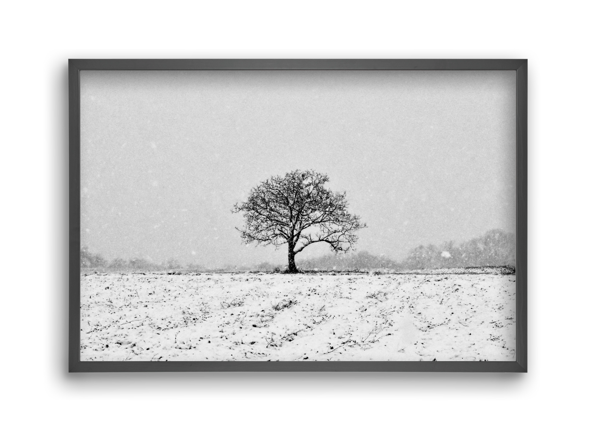 FILIA, 45x30 cm (45x30 cm), Fekete keret