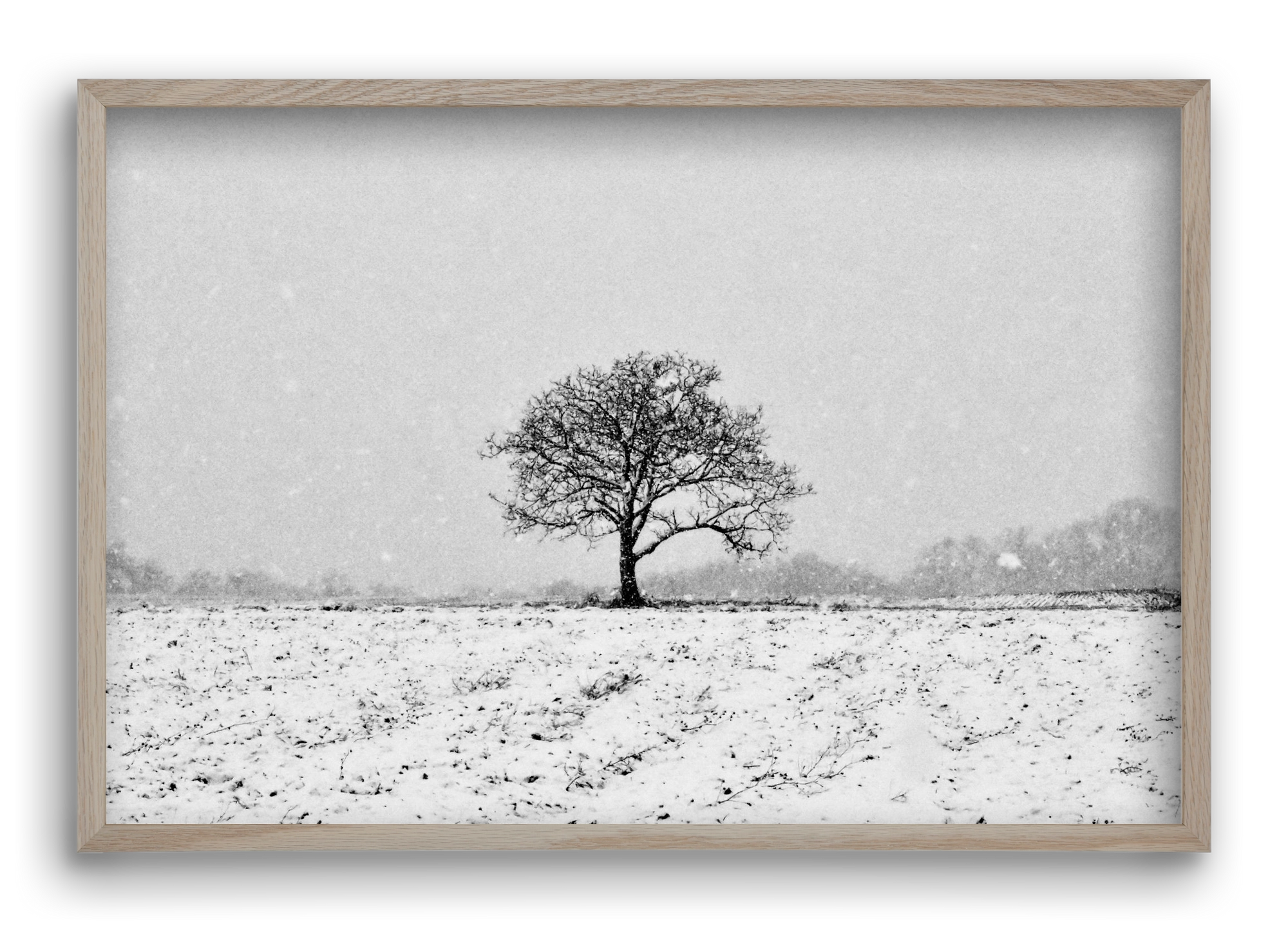 FILIA, 60x40 cm (60x40 cm), Tölgy keret