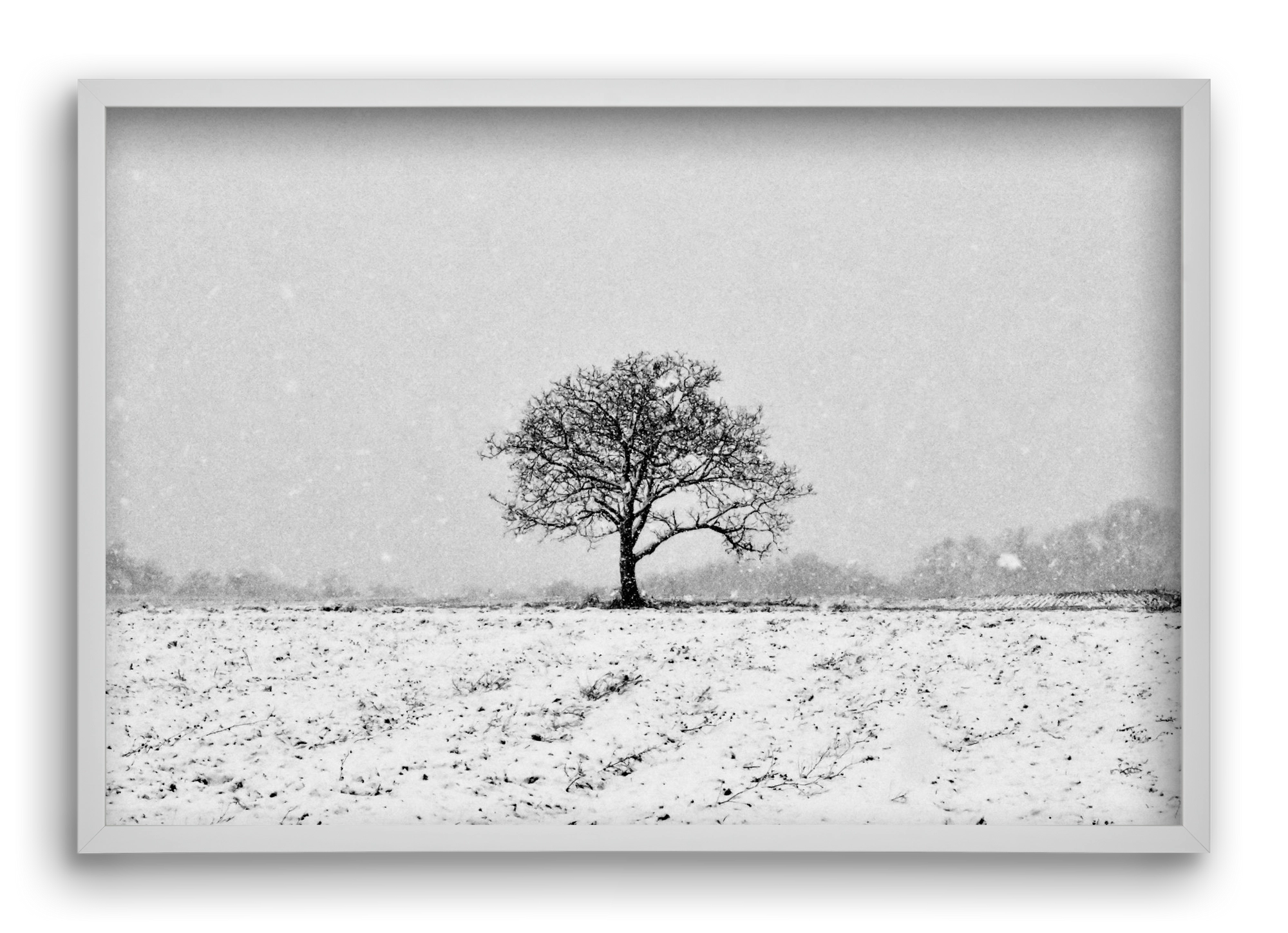 FILIA, 60x40 cm (60x40 cm), Fehér keret