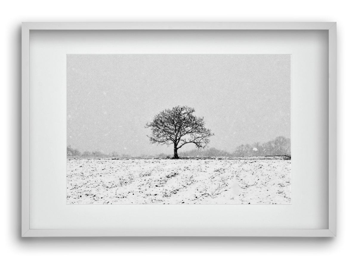 FILIA, 60x40 cm (45x30 cm), Fehér keret, paszpartuval