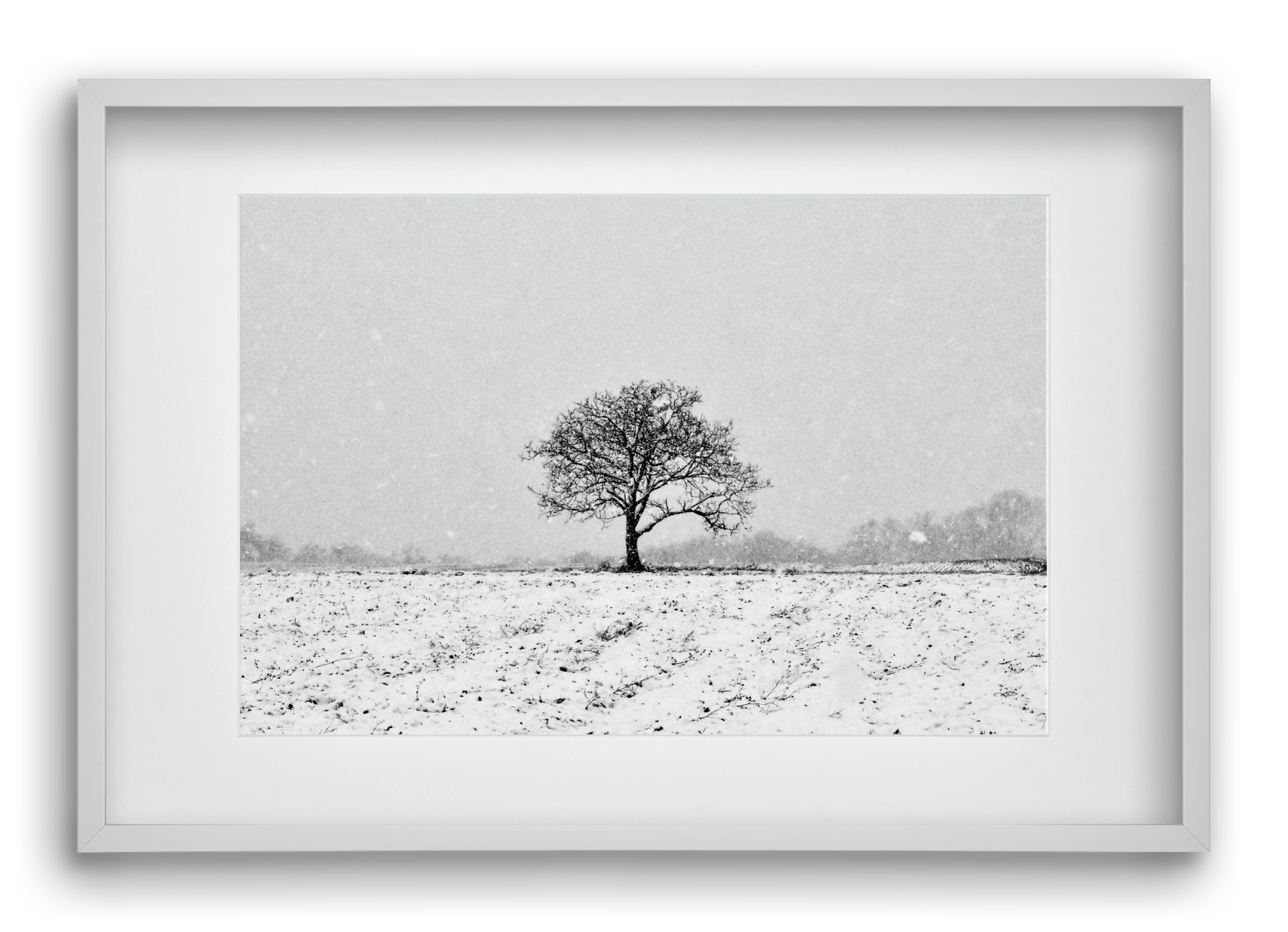 FILIA, 60x40 cm (45x30 cm), Fehér keret, paszpartuval