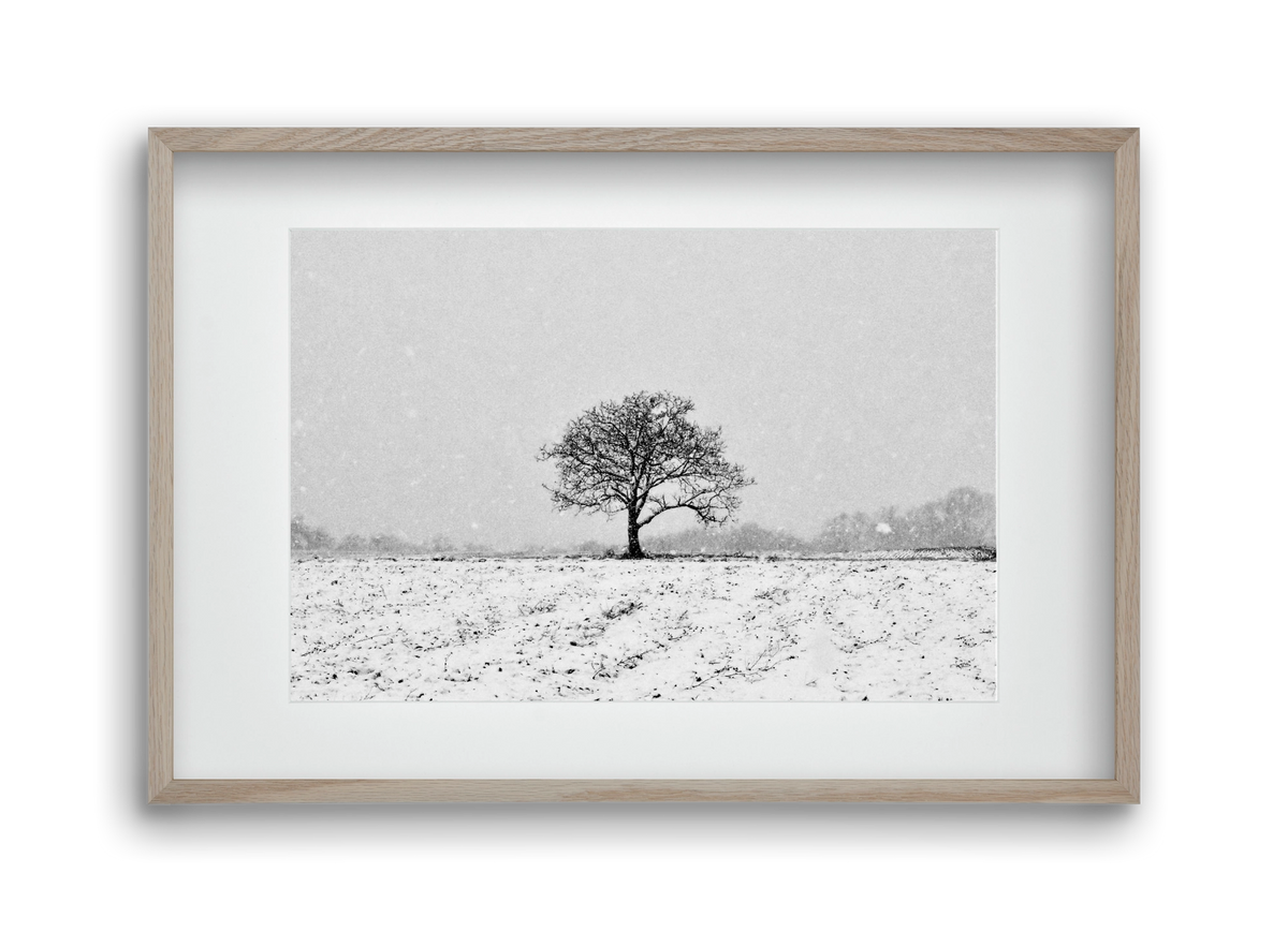 FILIA, 45x30 cm (30x20 cm), Tölgy keret, paszpartuval