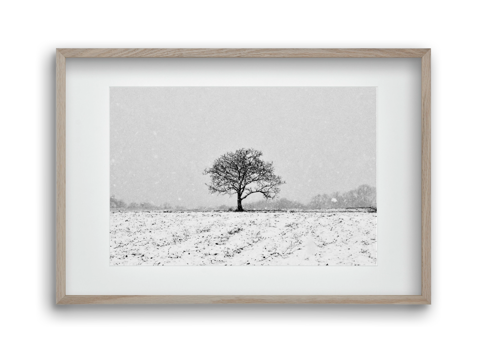 FILIA, 45x30 cm (30x20 cm), Tölgy keret, paszpartuval