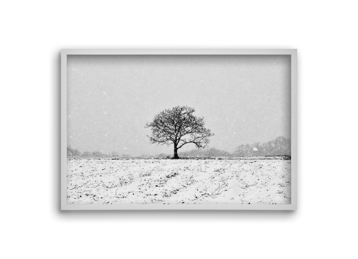 FILIA, 30x20 cm (30x20 cm), Fehér keret