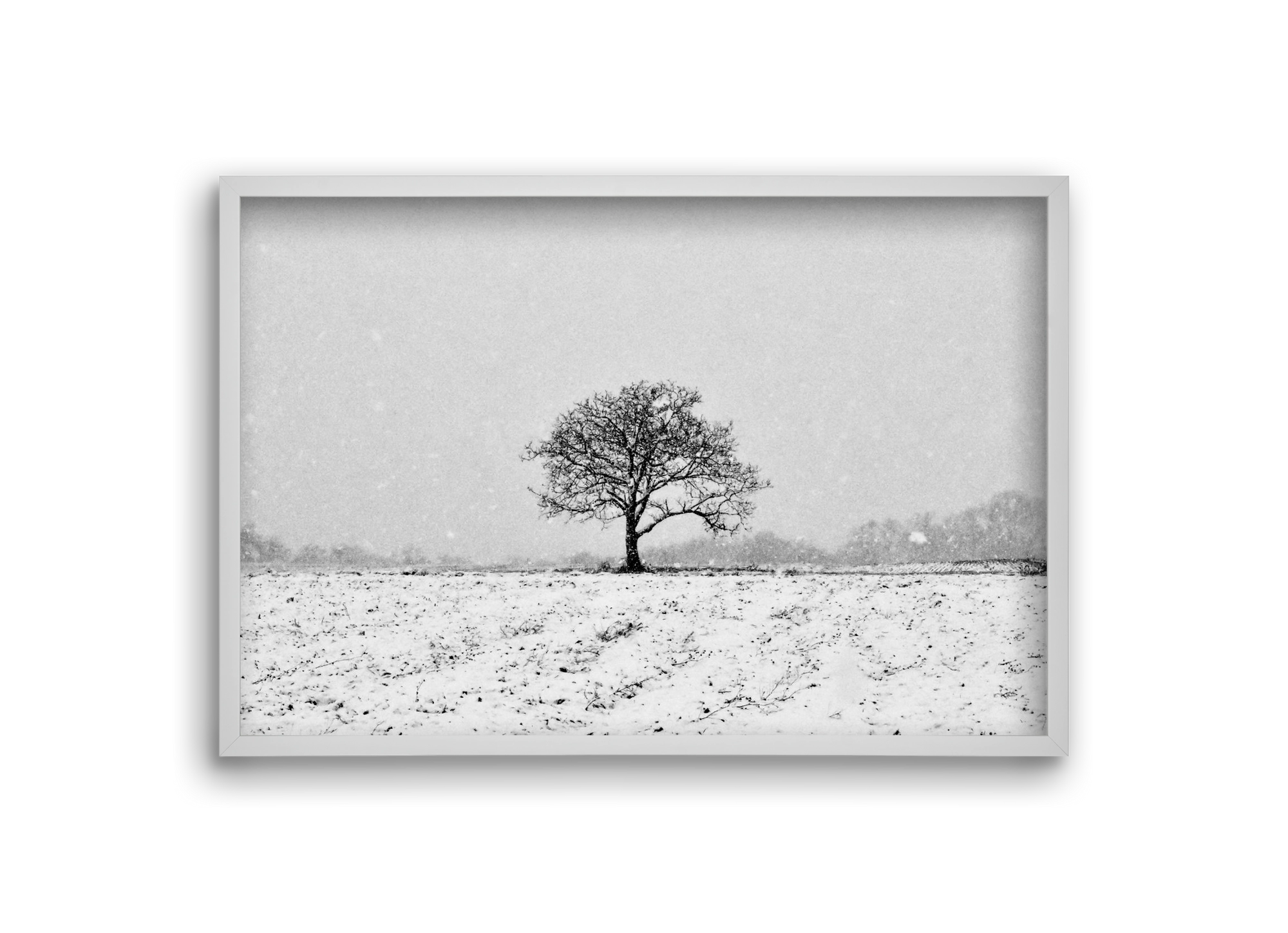 FILIA, 30x20 cm (30x20 cm), Fehér keret