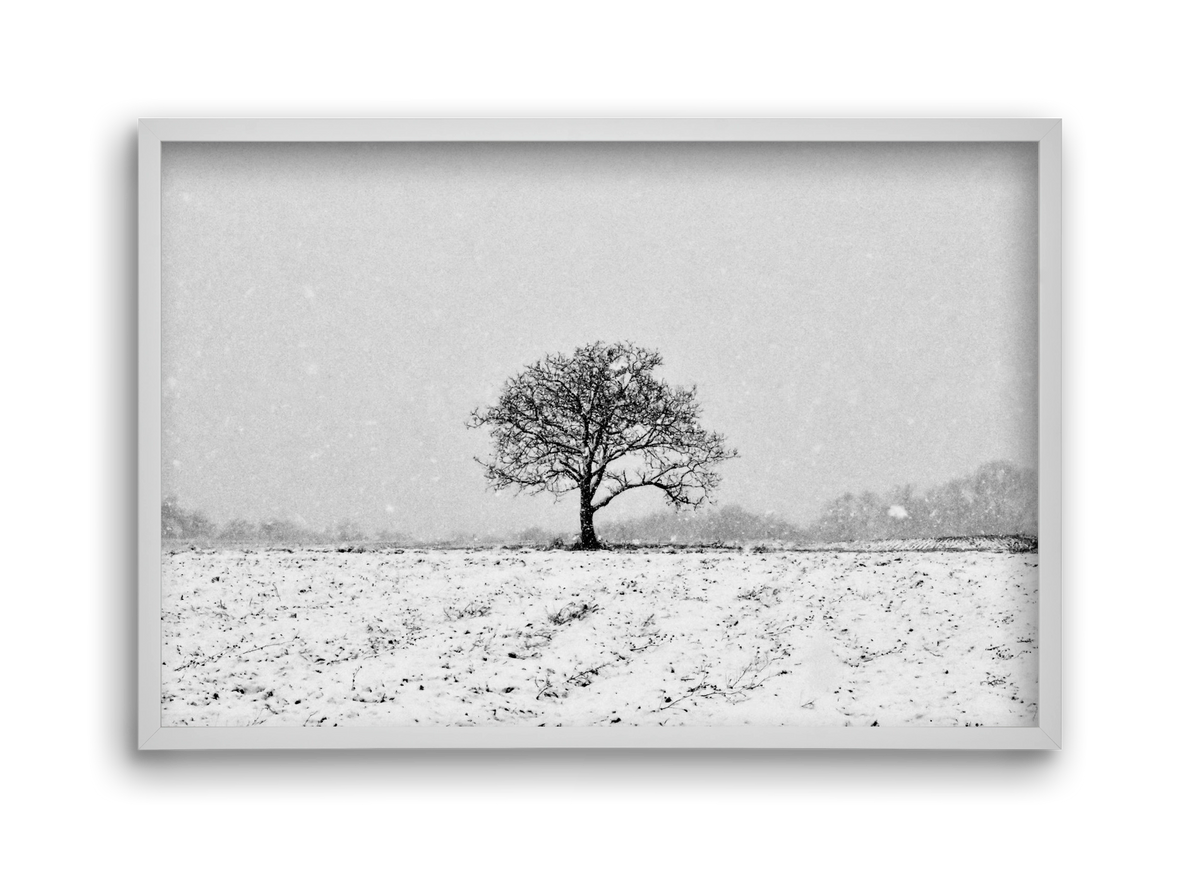 FILIA, 45x30 cm (45x30 cm), Fehér keret