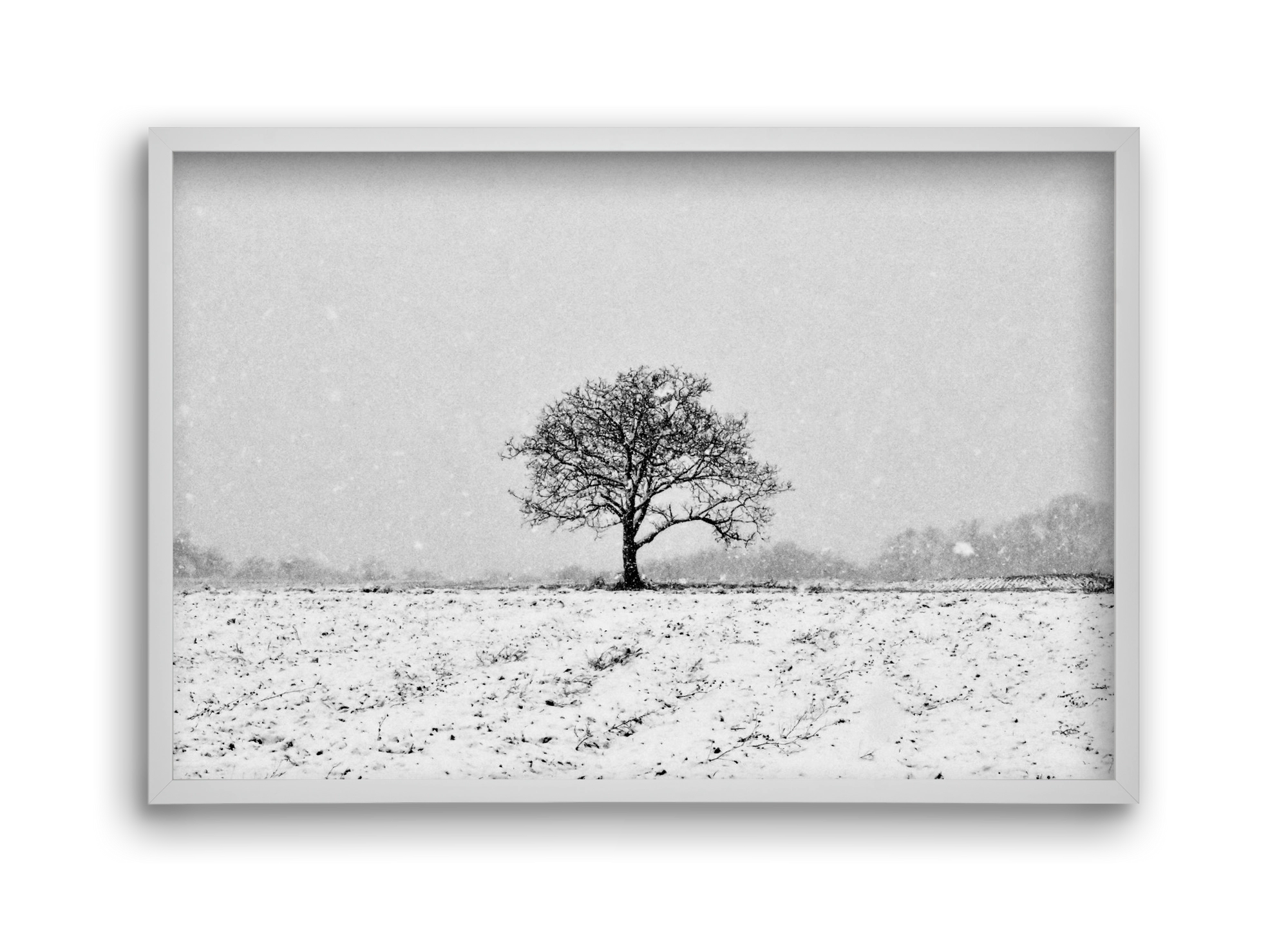 FILIA, 45x30 cm (45x30 cm), Fehér keret