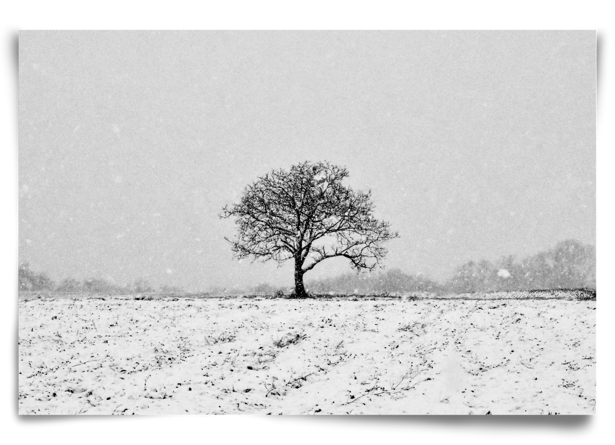 FILIA, 90x60 cm, Keret nélkül