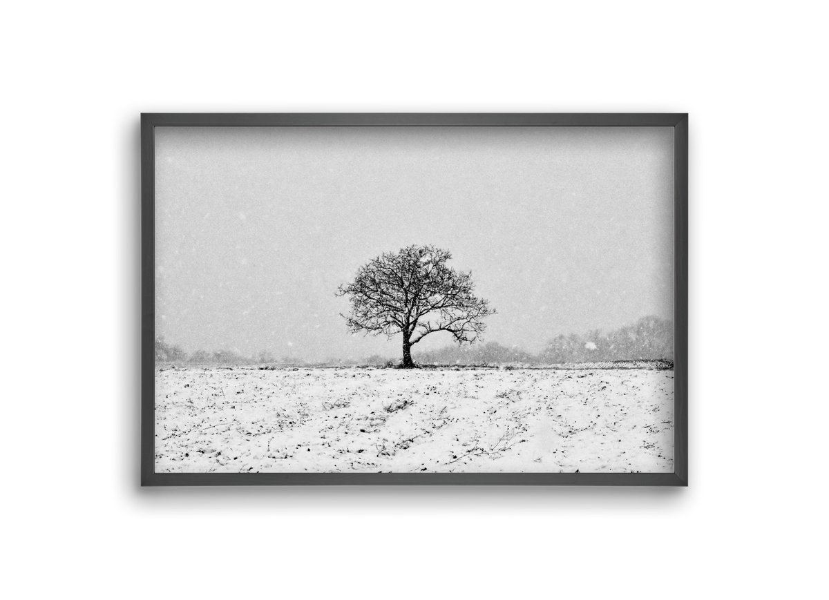 FILIA, 30x20 cm (30x20 cm), Fekete keret