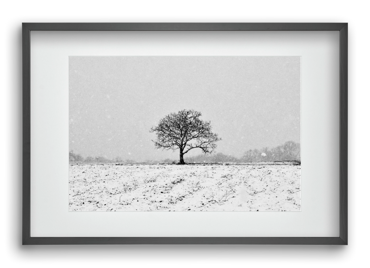 FILIA, 60x40 cm (45x30 cm), Fekete keret, paszpartuval