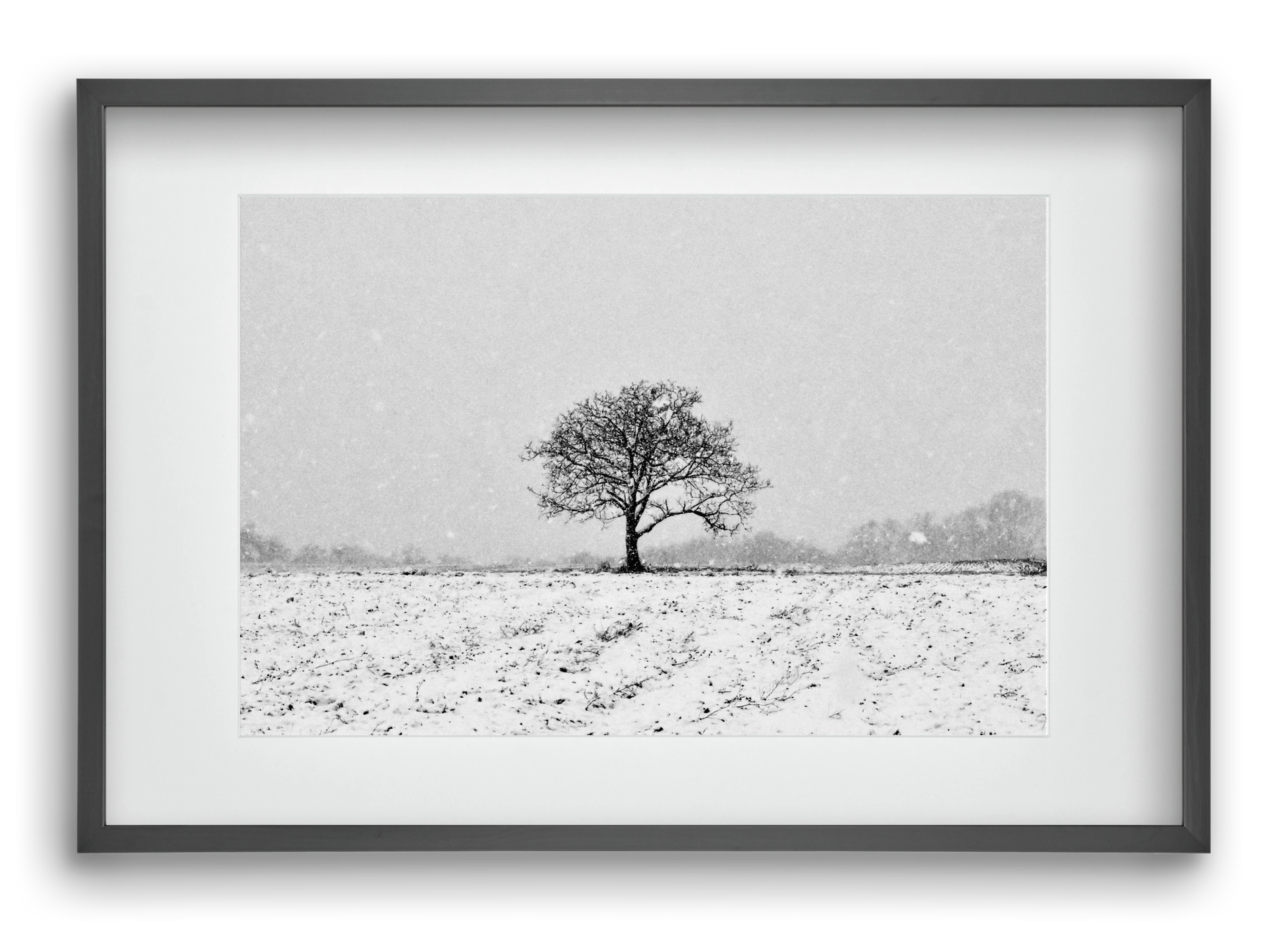 FILIA, 60x40 cm (45x30 cm), Fekete keret, paszpartuval