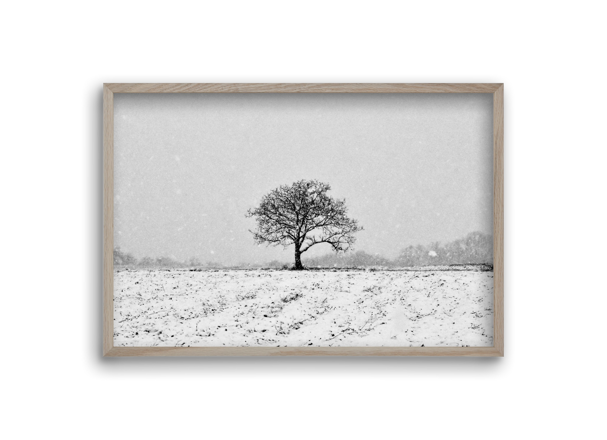 FILIA, 30x20 cm (30x20 cm), Tölgy keret