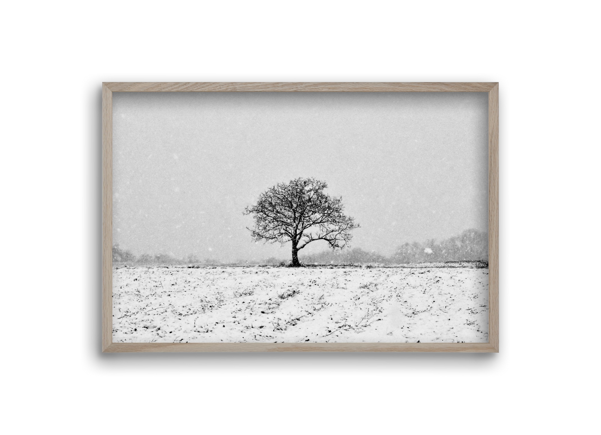FILIA, 30x20 cm (30x20 cm), Tölgy keret