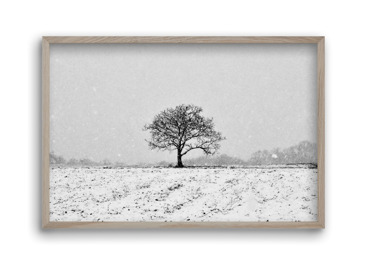 FILIA, 45x30 cm (45x30 cm), Tölgy keret