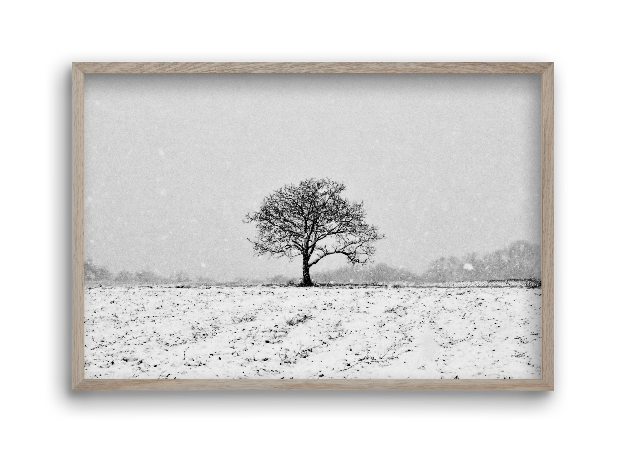 FILIA, 45x30 cm (45x30 cm), Tölgy keret