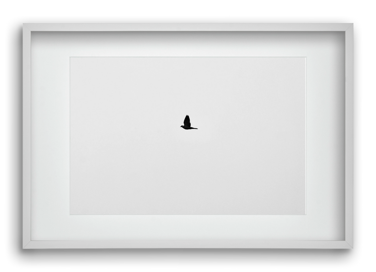 Sound, 60x40 cm (45x30 cm), Fehér keret, paszpartuval