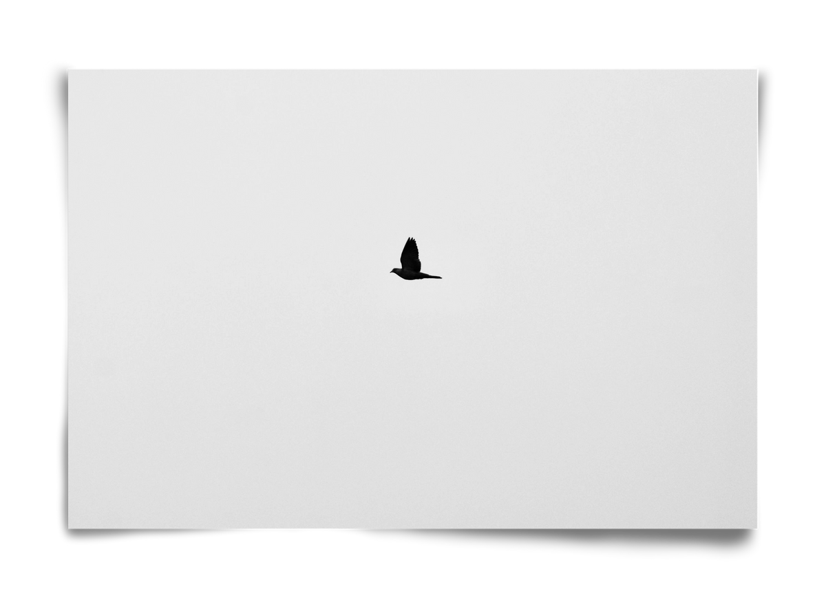 Sound, 60x40 cm, Keret nélkül