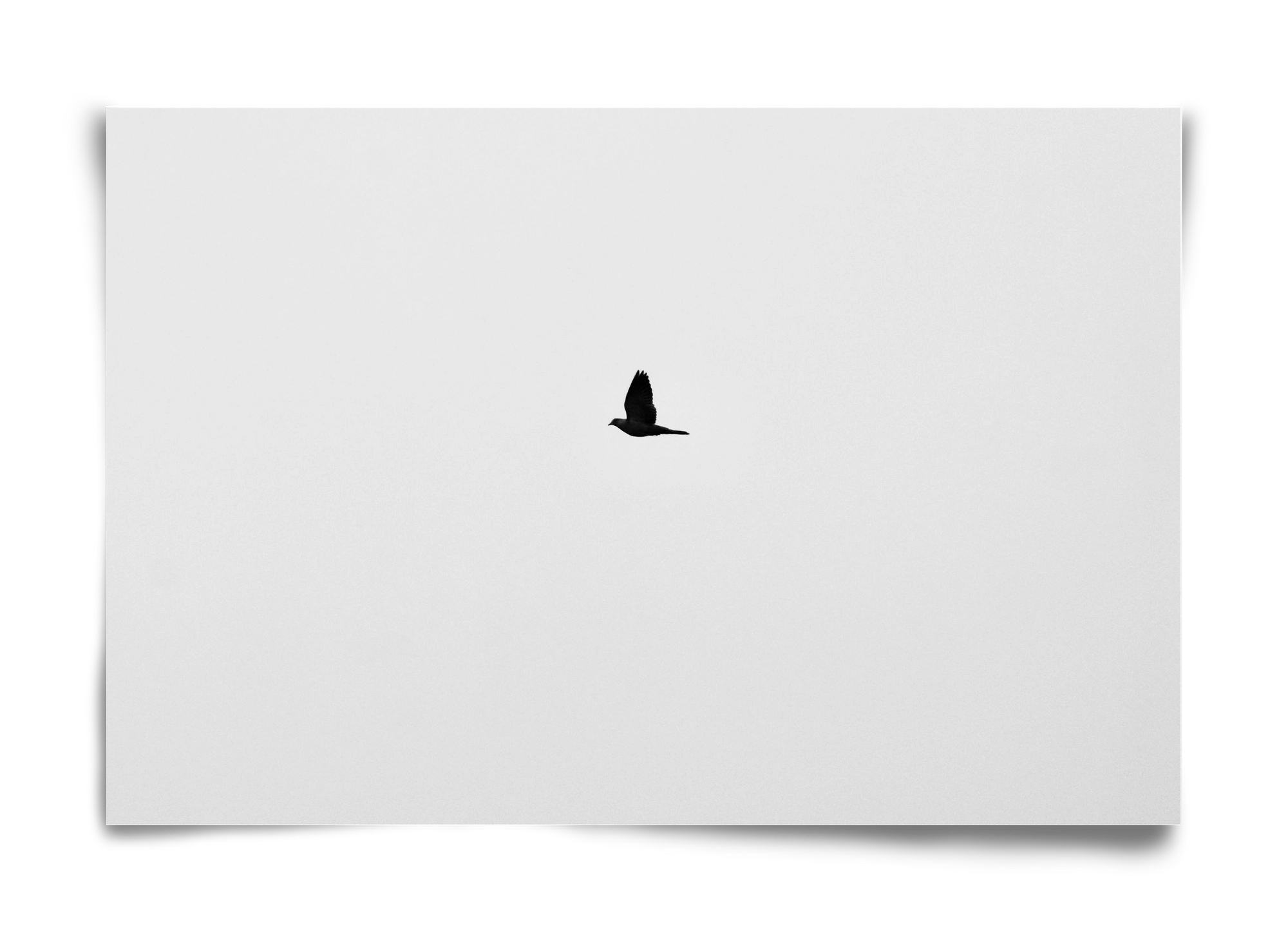 Sound, 60x40 cm, Keret nélkül