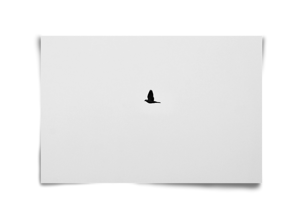 Sound, 45x30 cm, Keret nélkül