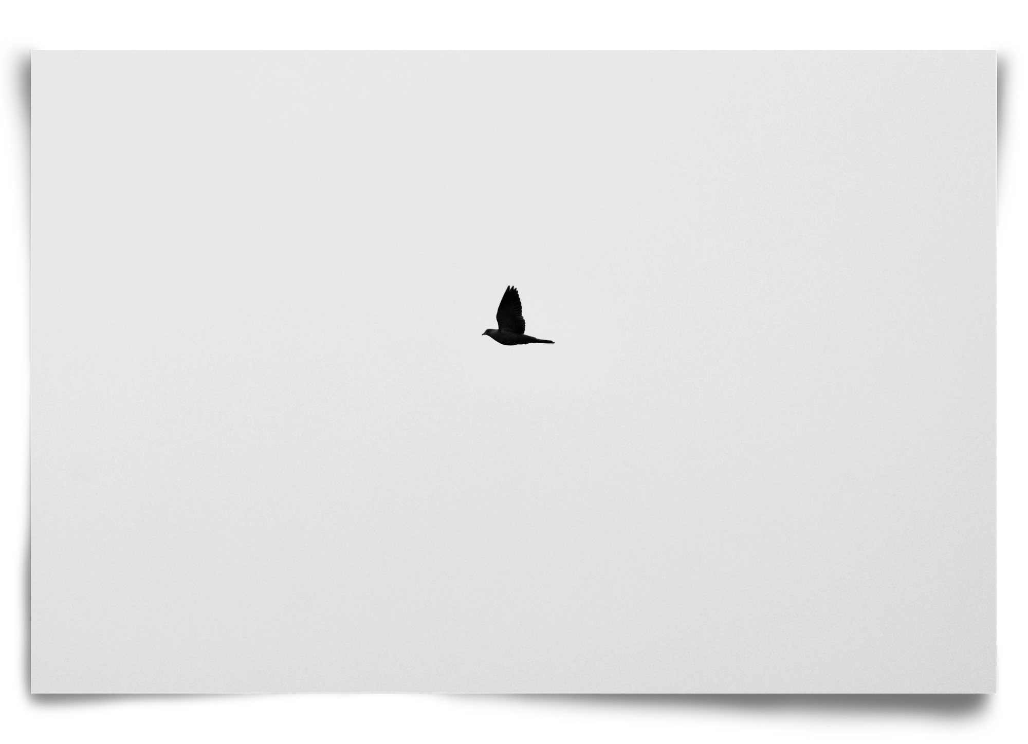 Sound, 90x60 cm, Keret nélkül