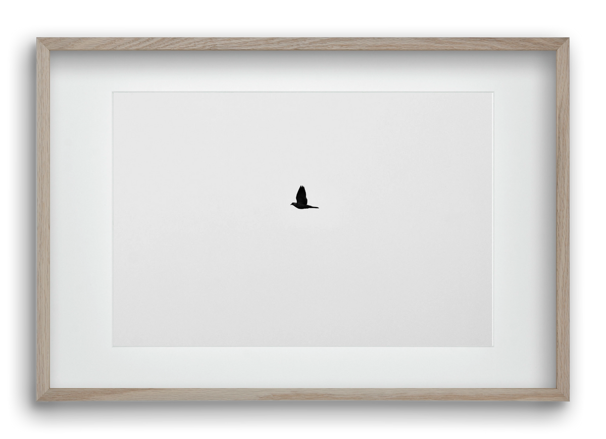 Sound, 60x40 cm (45x30 cm), Tölgy keret, paszpartuval