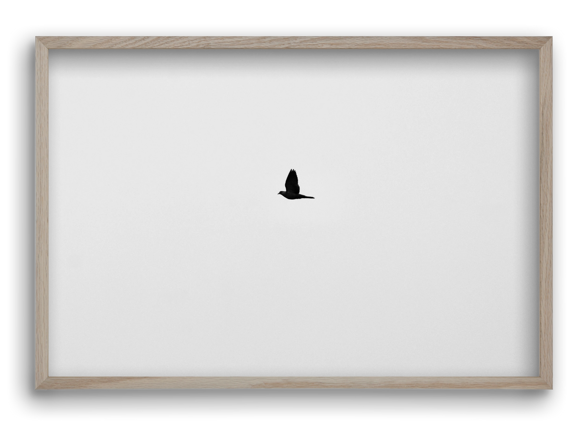 Sound, 60x40 cm (60x40 cm), Tölgy keret