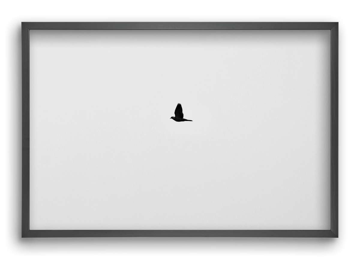 Sound, 60x40 cm (60x40 cm), Fekete keret