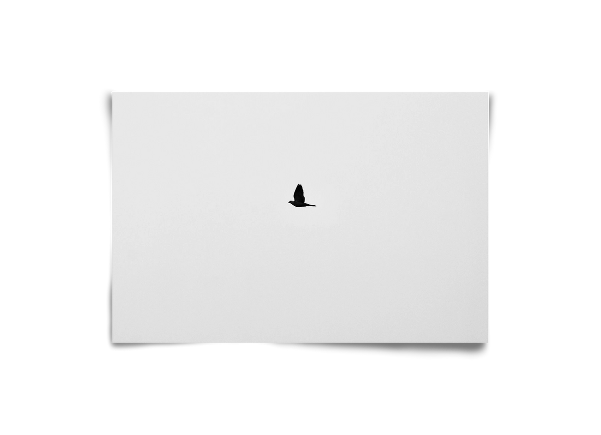 Sound, 30x20 cm, Keret nélkül