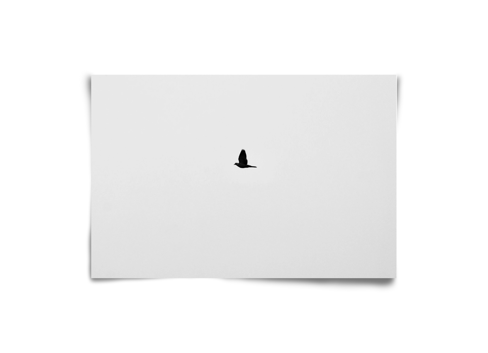 Sound, 30x20 cm, Keret nélkül