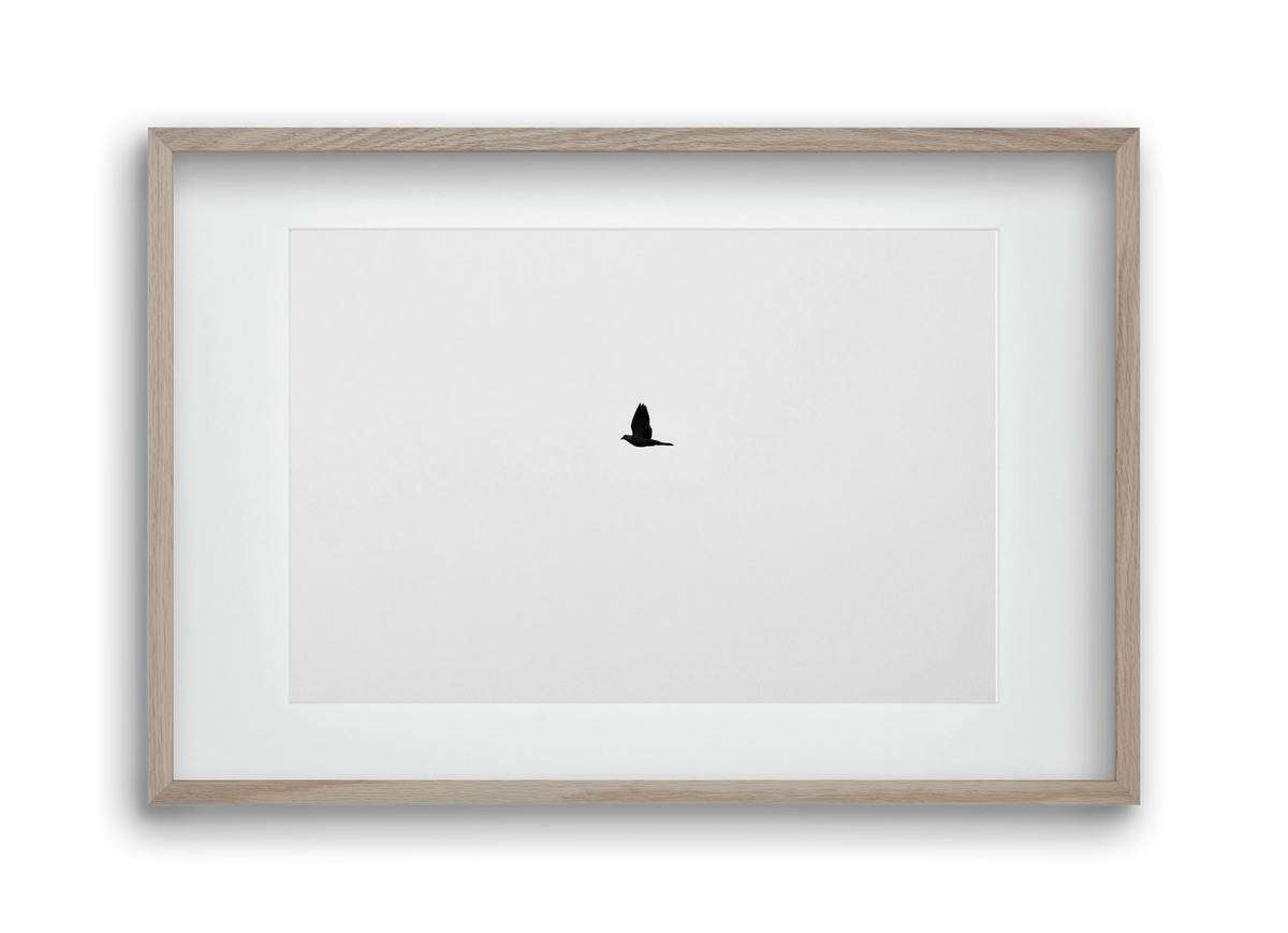 Sound, 45x30 cm (30x20 cm), Tölgy keret, paszpartuval