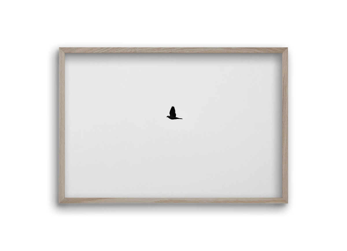 Sound, 30x20 cm (30x20 cm), Tölgy keret