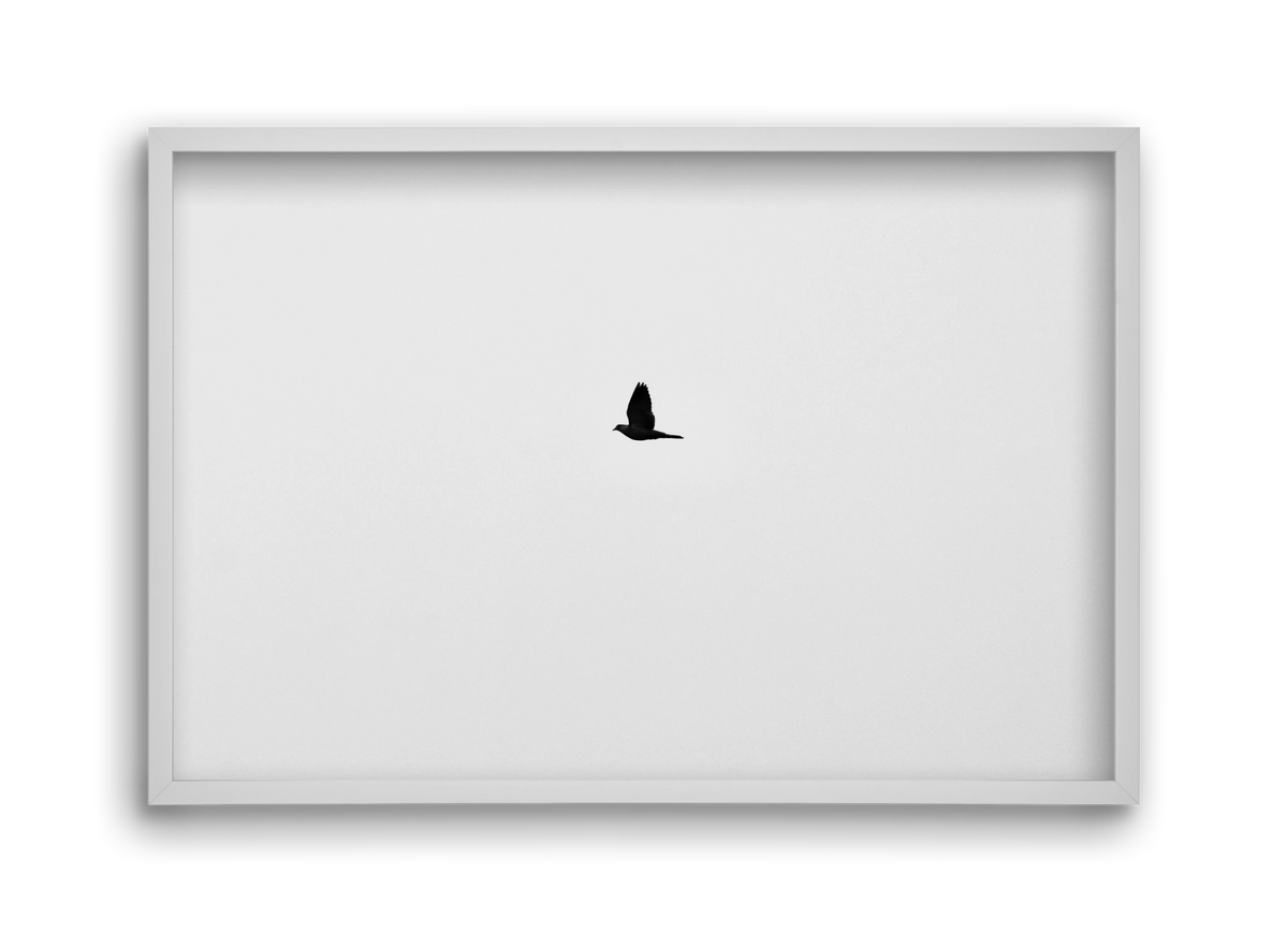 Sound, 45x30 cm (45x30 cm), Fehér keret