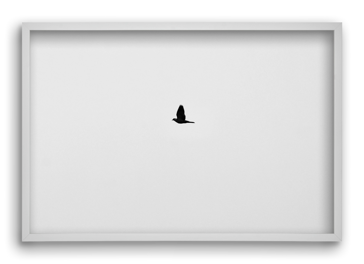 Sound, 60x40 cm (60x40 cm), Fehér keret