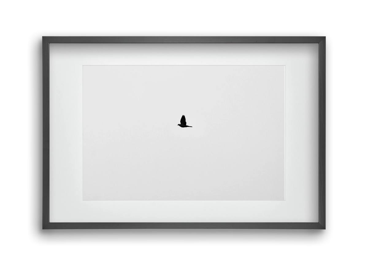 Sound, 45x30 cm (30x20 cm), Fekete keret, paszpartuval